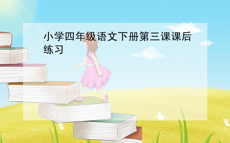 小学四年级语文下册第三课课后练习