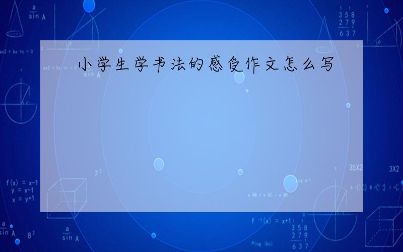 小学生学书法的感受作文怎么写