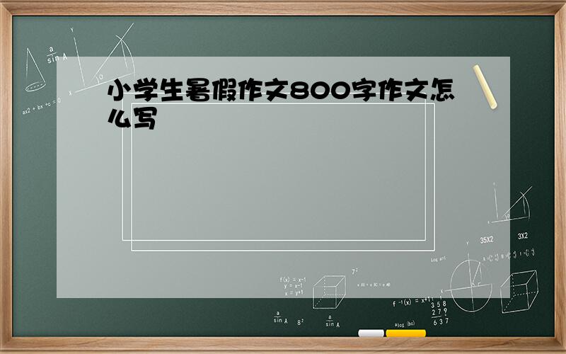 小学生暑假作文800字作文怎么写