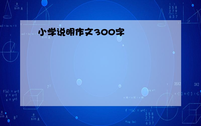 小学说明作文300字