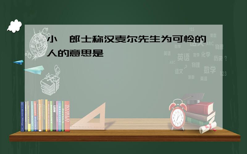 小弗郎士称汉麦尔先生为可怜的人的意思是