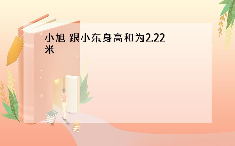 小旭 跟小东身高和为2.22米