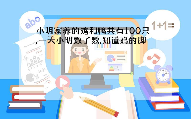 小明家养的鸡和鸭共有100只,一天小明数了数,知道鸡的脚