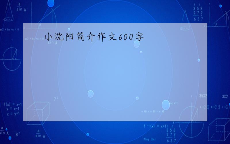 小沈阳简介作文600字