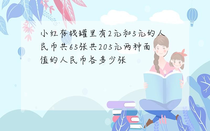 小红存钱罐里有2元和5元的人民币共65张共205元两种面值的人民币各多少张