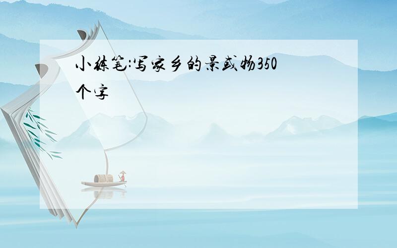 小练笔:写家乡的景或物350个字