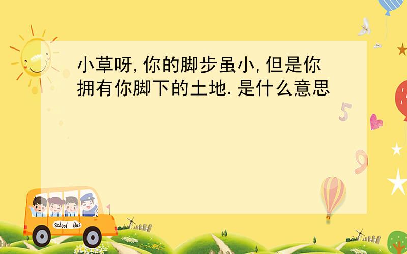 小草呀,你的脚步虽小,但是你拥有你脚下的土地.是什么意思