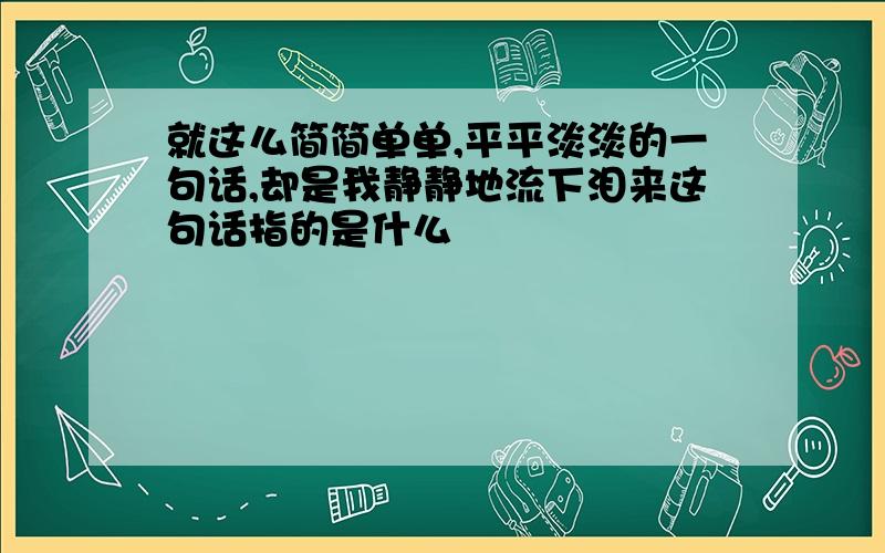 就这么简简单单,平平淡淡的一句话,却是我静静地流下泪来这句话指的是什么