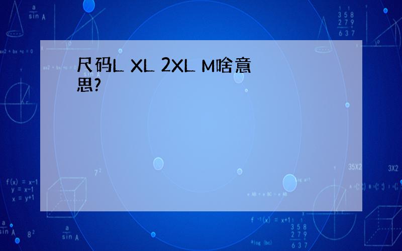 尺码L XL 2XL M啥意思?