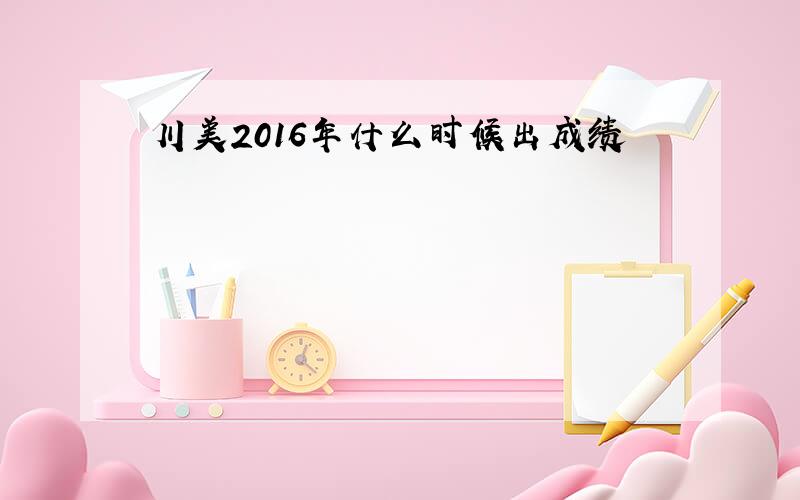 川美2016年什么时候出成绩