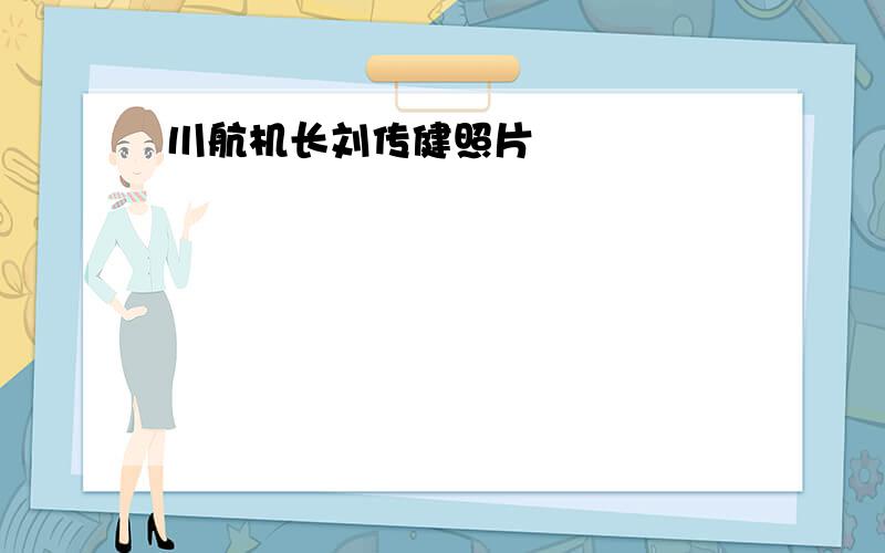 川航机长刘传健照片