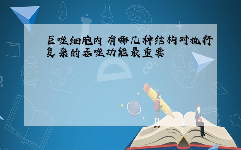 巨噬细胞内有哪几种结构对执行复杂的吞噬功能最重要