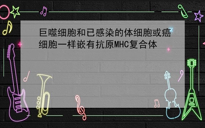 巨噬细胞和已感染的体细胞或癌细胞一样嵌有抗原MHC复合体