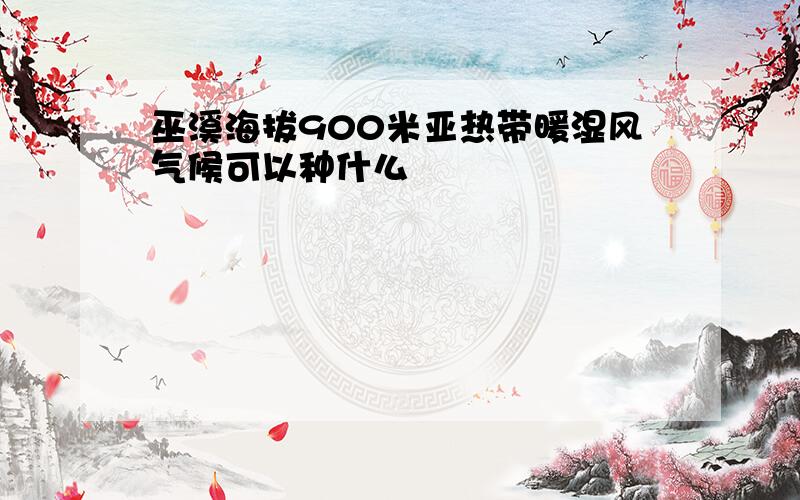 巫溪海拔900米亚热带暖湿风气候可以种什么