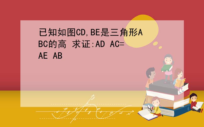 已知如图CD,BE是三角形ABC的高 求证:AD AC=AE AB