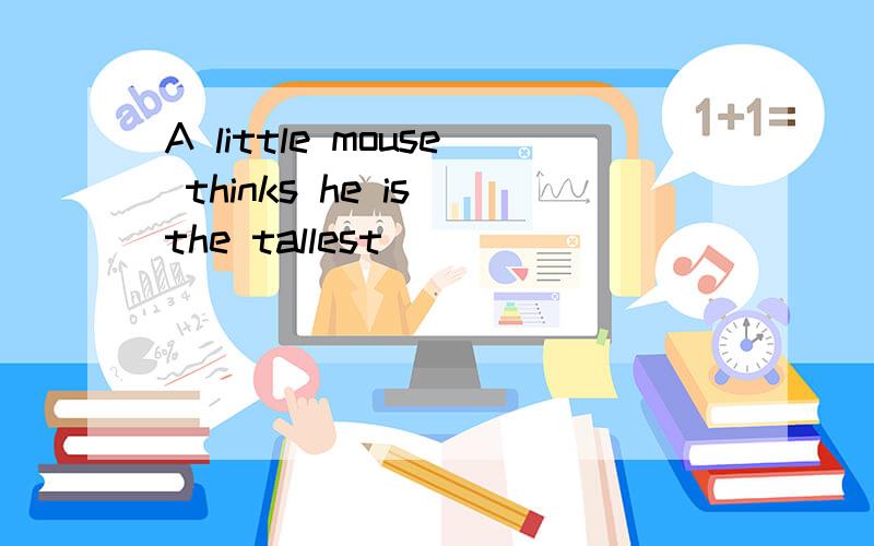 A little mouse thinks he is the tallest