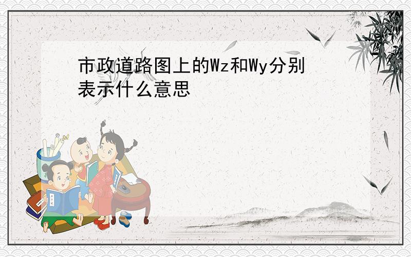 市政道路图上的Wz和Wy分别表示什么意思