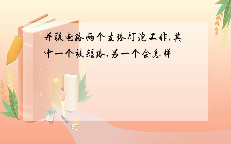 并联电路两个支路灯泡工作,其中一个被短路,另一个会怎样