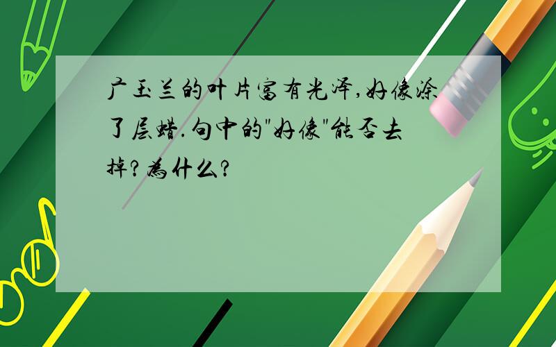 广玉兰的叶片富有光泽,好像涂了层蜡.句中的"好像"能否去掉?为什么?