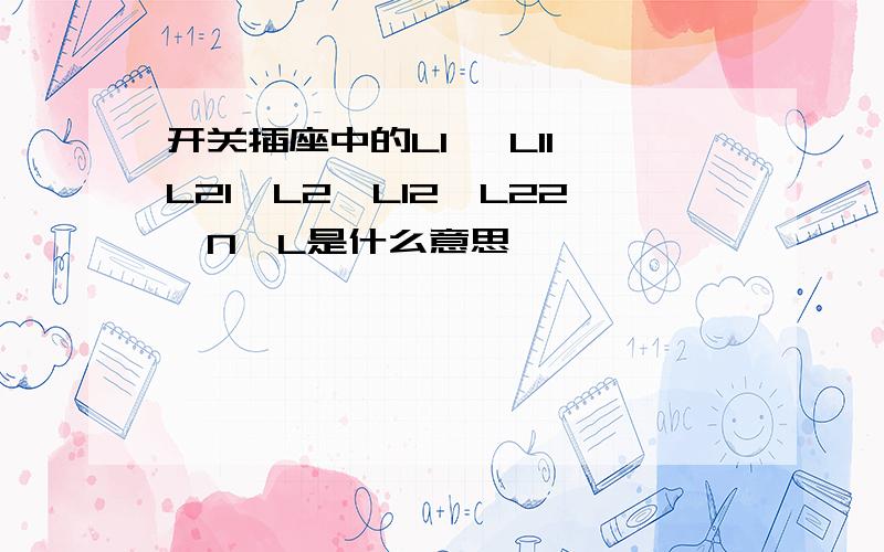 开关插座中的L1 ,L11,L21,L2,L12,L22,N,L是什么意思