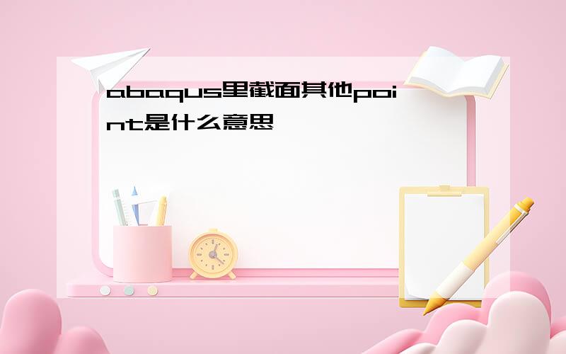 abaqus里截面其他point是什么意思