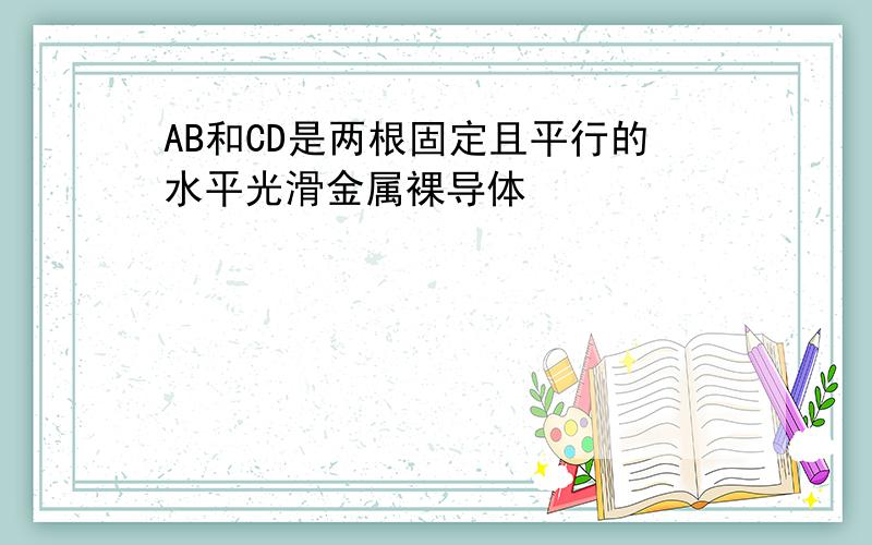 AB和CD是两根固定且平行的水平光滑金属裸导体