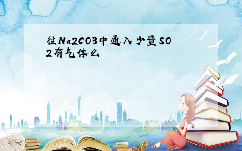 往Na2CO3中通入少量SO2有气体么