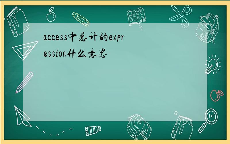 access中总计的expression什么意思