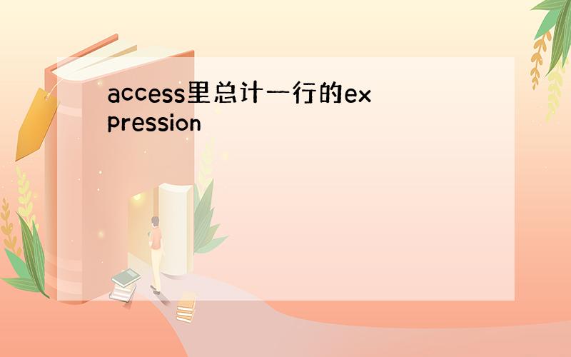 access里总计一行的expression