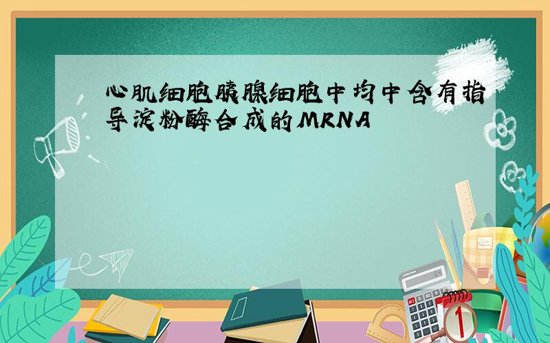 心肌细胞胰腺细胞中均中含有指导淀粉酶合成的MRNA