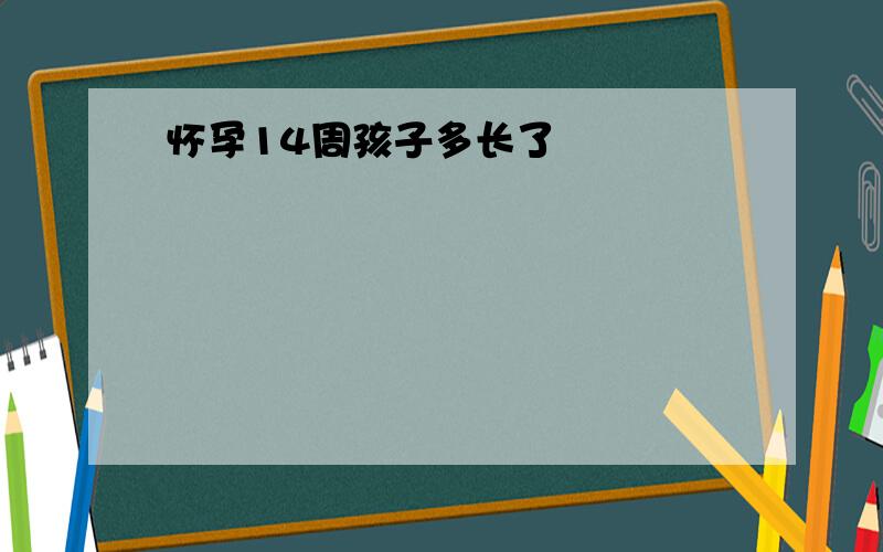 怀孕14周孩子多长了