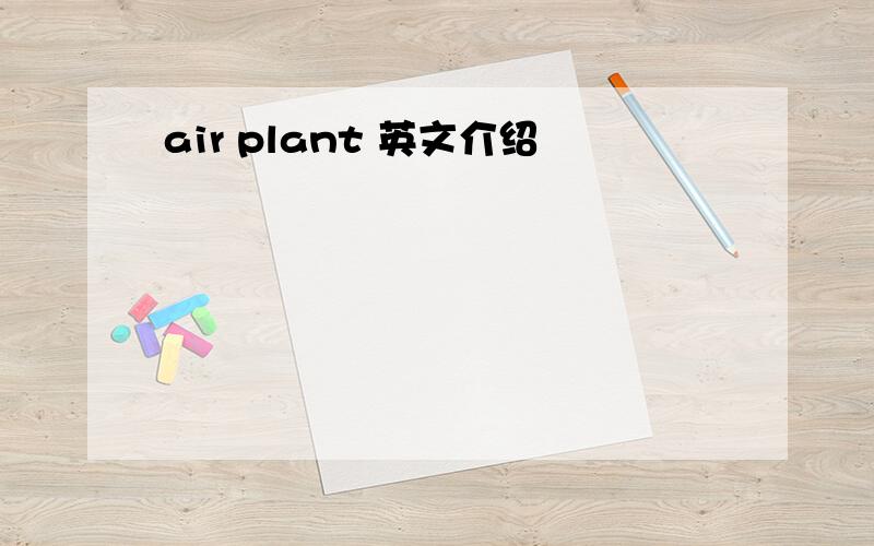 air plant 英文介绍