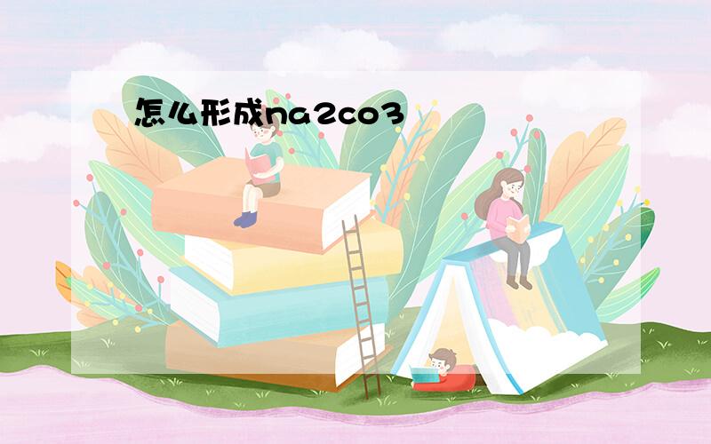 怎么形成na2co3