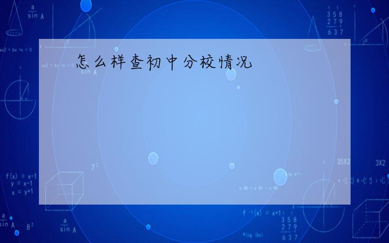 怎么样查初中分校情况