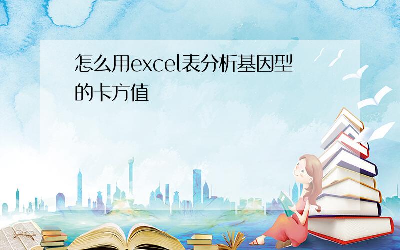 怎么用excel表分析基因型的卡方值