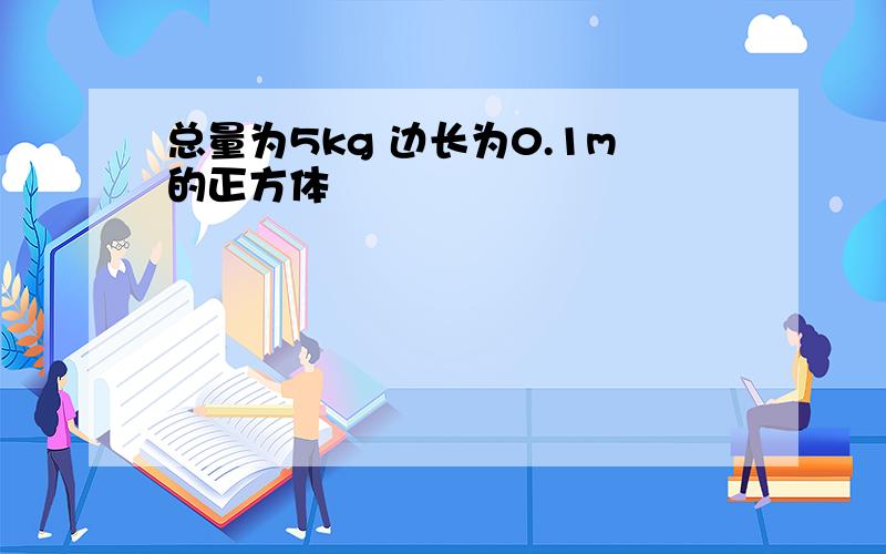 总量为5kg 边长为0.1m的正方体