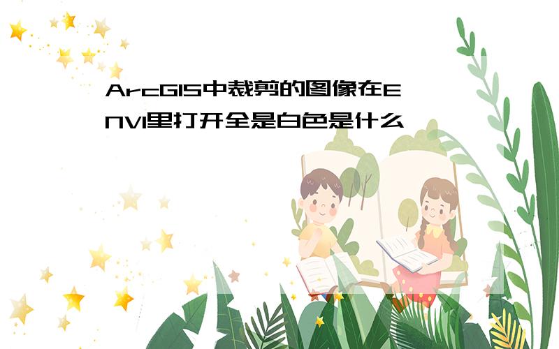 ArcGIS中裁剪的图像在ENVI里打开全是白色是什么