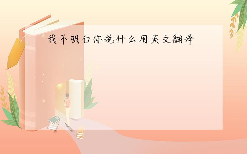 我不明白你说什么用英文翻译