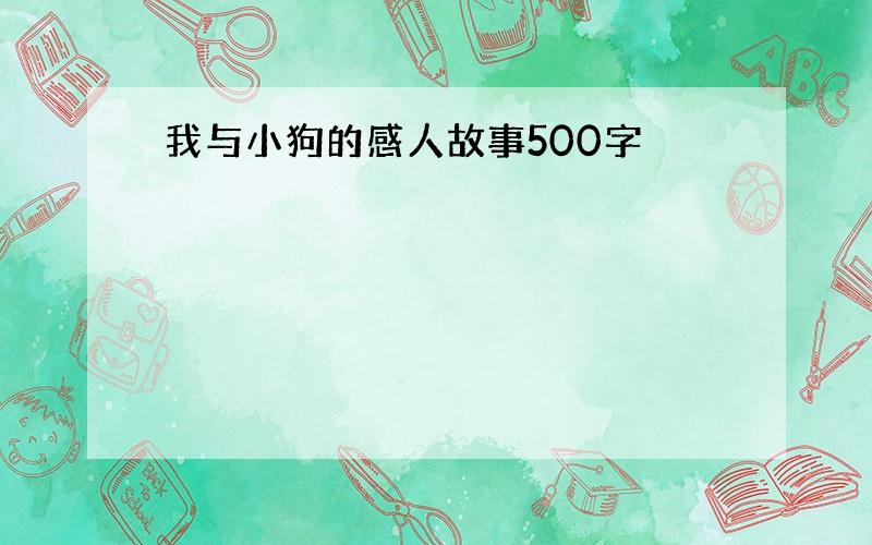 我与小狗的感人故事500字