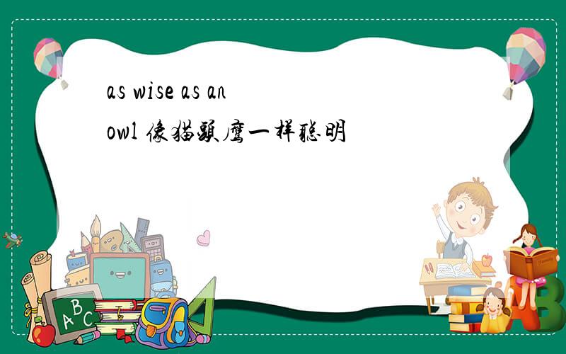 as wise as an owl 像猫头鹰一样聪明