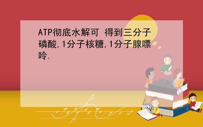 ATP彻底水解可 得到三分子磷酸,1分子核糖,1分子腺嘌呤.