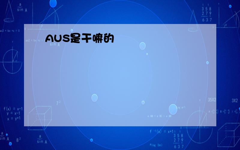 AUS是干嘛的