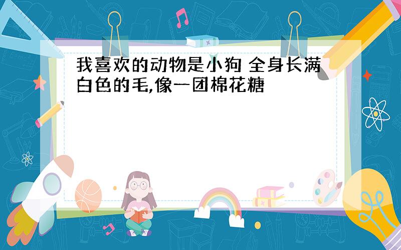 我喜欢的动物是小狗 全身长满白色的毛,像一团棉花糖