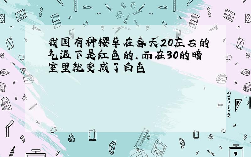 我国有种樱草在春天20左右的气温下是红色的,而在30的暗室里就变成了白色