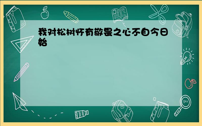 我对松树怀有敬畏之心不自今日始