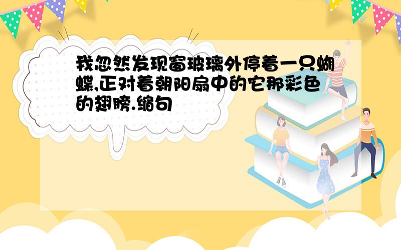 我忽然发现窗玻璃外停着一只蝴蝶,正对着朝阳扇中的它那彩色的翅膀.缩句