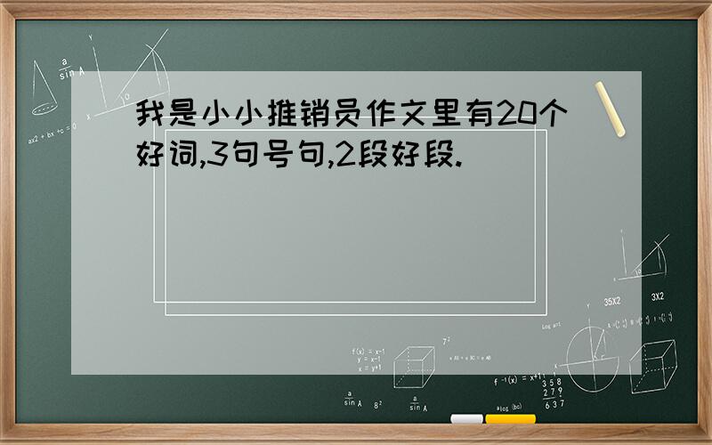 我是小小推销员作文里有20个好词,3句号句,2段好段.