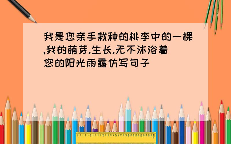 我是您亲手栽种的桃李中的一棵,我的萌芽.生长.无不沐浴着您的阳光雨露仿写句子