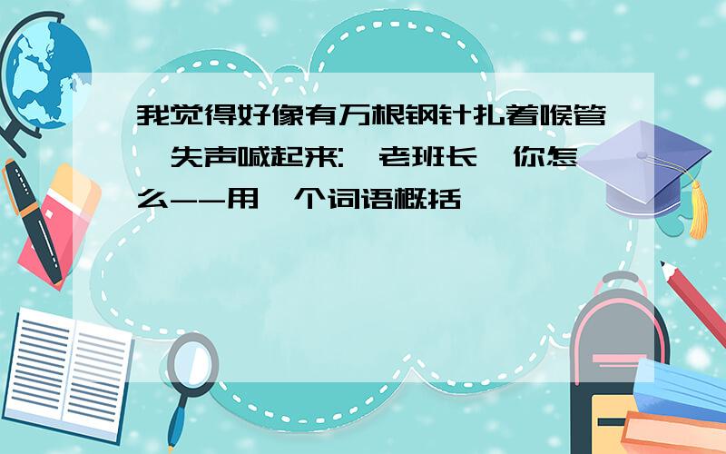 我觉得好像有万根钢针扎着喉管,失声喊起来:"老班长,你怎么--用一个词语概括