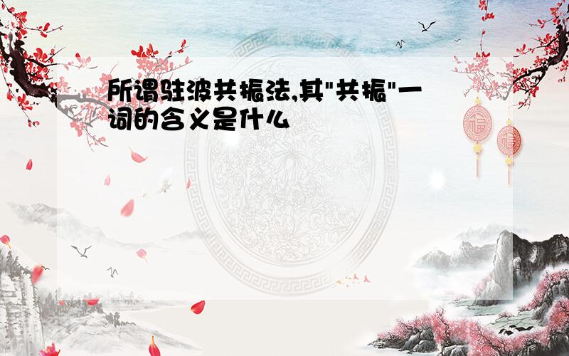 所谓驻波共振法,其"共振"一词的含义是什么